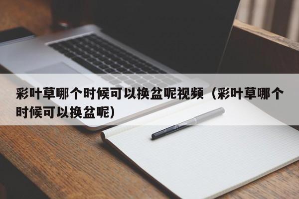 彩叶草哪个时候可以换盆呢视频（彩叶草哪个时候可以换盆呢） 