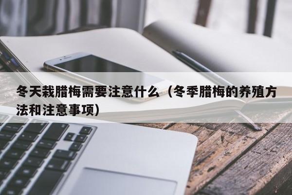 冬天栽腊梅需要注意什么（冬季腊梅的养殖方法和注意事项） 