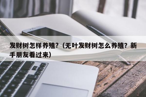 发财树怎样养殖?（无叶发财树怎么养殖？新手朋友看过来） 