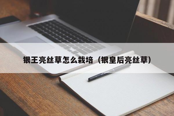 银王亮丝草怎么栽培（银皇后亮丝草） 