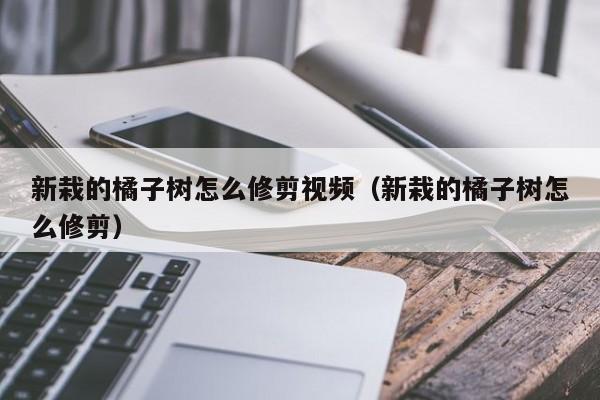 新栽的橘子树怎么修剪视频（新栽的橘子树怎么修剪） 