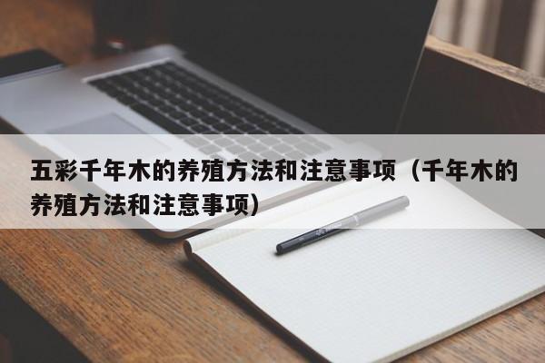 五彩千年木的养殖方法和注意事项（千年木的养殖方法和注意事项） 