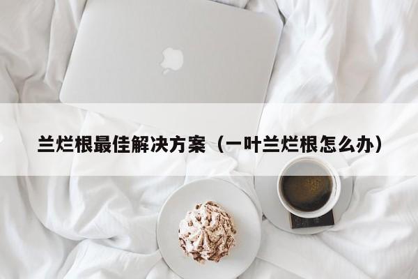 兰烂根最佳解决方案（一叶兰烂根怎么办） 