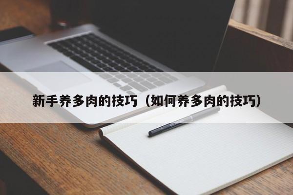 新手养多肉的技巧（如何养多肉的技巧） 