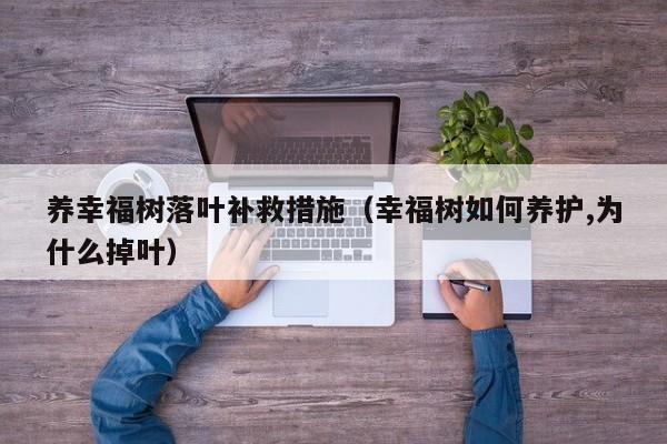 养幸福树落叶补救措施（幸福树如何养护,为什么掉叶） 