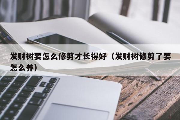 发财树要怎么修剪才长得好（发财树修剪了要怎么养） 