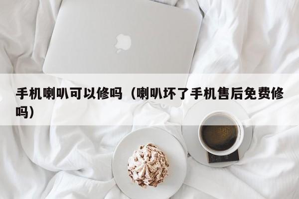 手机喇叭可以修吗（喇叭坏了手机售后免费修吗） 