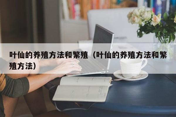 叶仙的养殖方法和繁殖（叶仙的养殖方法和繁殖方法） 