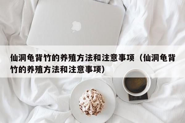 仙洞龟背竹的养殖方法和注意事项（仙洞龟背竹的养殖方法和注意事项） 