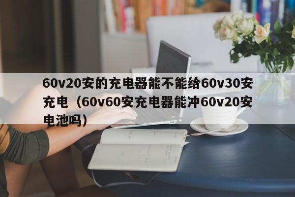 60v20安的充电器能不能给60v30安充电（60v60安充电器能冲60v20安电池吗） 