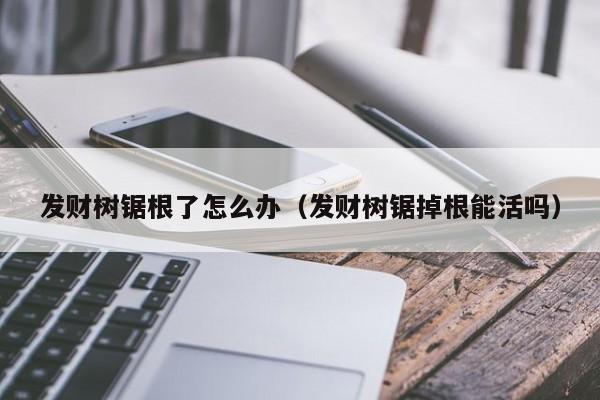 发财树锯根了怎么办（发财树锯掉根能活吗） 