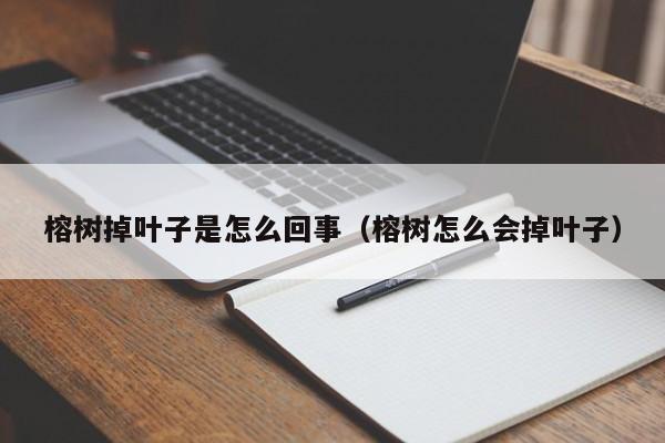 榕树掉叶子是怎么回事（榕树怎么会掉叶子） 