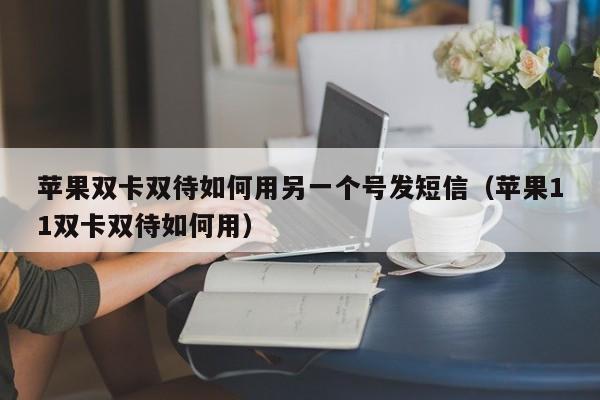 苹果双卡双待如何用另一个号发短信（苹果11双卡双待如何用） 