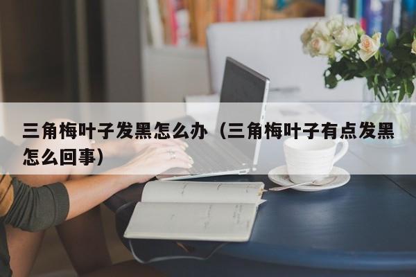 三角梅叶子发黑怎么办（三角梅叶子有点发黑怎么回事） 