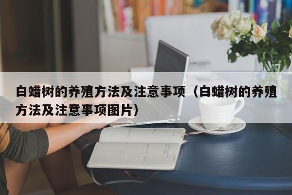 白蜡树的养殖方法及注意事项（白蜡树的养殖方法及注意事项图片） 