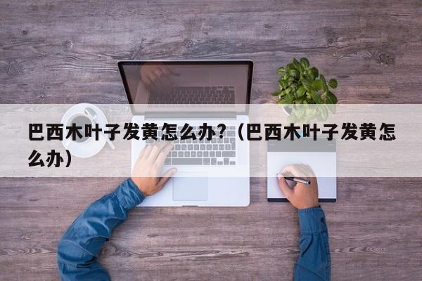 巴西木叶子发黄怎么办?（巴西木叶子发黄怎么办） 