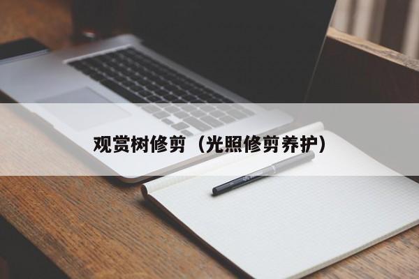 观赏树修剪（光照修剪养护） 