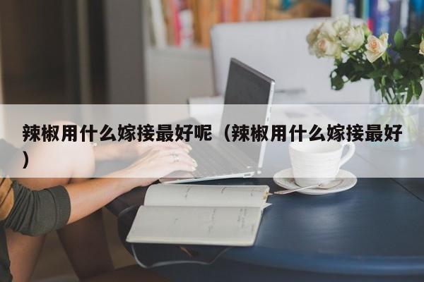 辣椒用什么嫁接最好呢（辣椒用什么嫁接最好） 