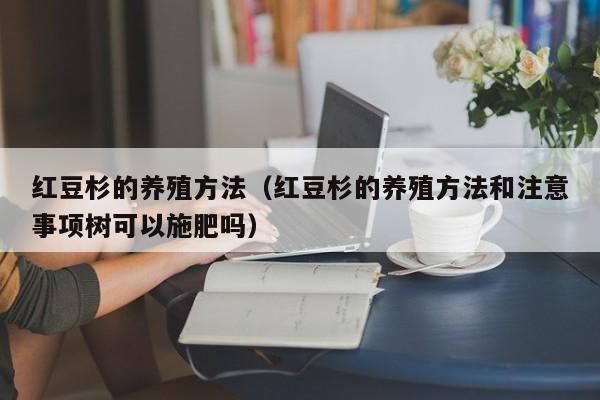 红豆杉的养殖方法（红豆杉的养殖方法和注意事项树可以施肥吗） 