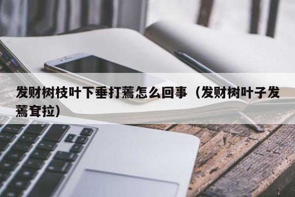 发财树枝叶下垂打蔫怎么回事（发财树叶子发蔫耷拉） 