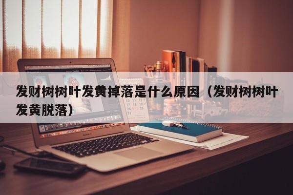 发财树树叶发黄掉落是什么原因（发财树树叶发黄脱落） 