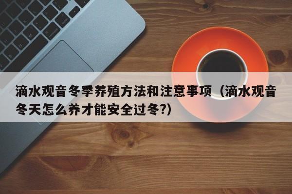 滴水观音冬季养殖方法和注意事项（滴水观音冬天怎么养才能安全过冬?） 