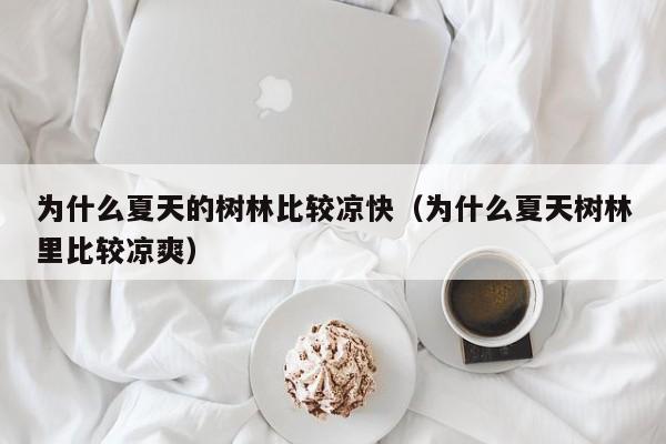 为什么夏天的树林比较凉快（为什么夏天树林里比较凉爽） 