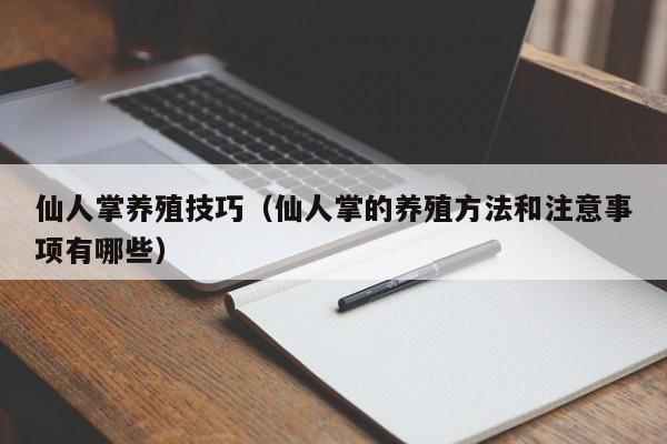 仙人掌养殖技巧（仙人掌的养殖方法和注意事项有哪些） 