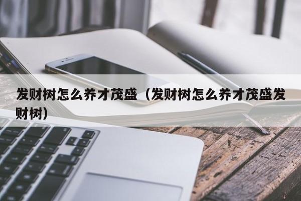 发财树怎么养才茂盛（发财树怎么养才茂盛发财树） 