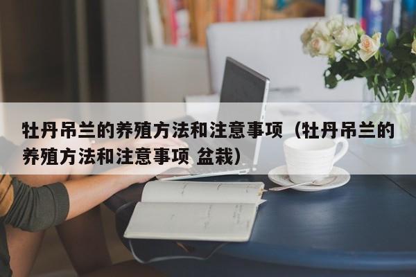 牡丹吊兰的养殖方法和注意事项（牡丹吊兰的养殖方法和注意事项 盆栽） 