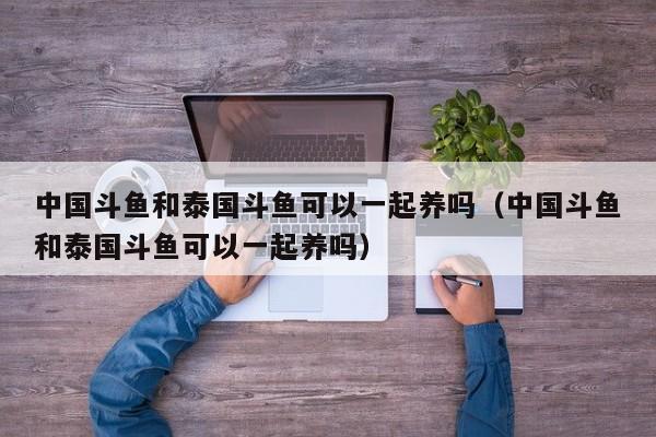 中国斗鱼和泰国斗鱼可以一起养吗（中国斗鱼和泰国斗鱼可以一起养吗） 