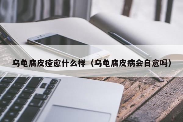 乌龟腐皮痊愈什么样（乌龟腐皮病会自愈吗） 