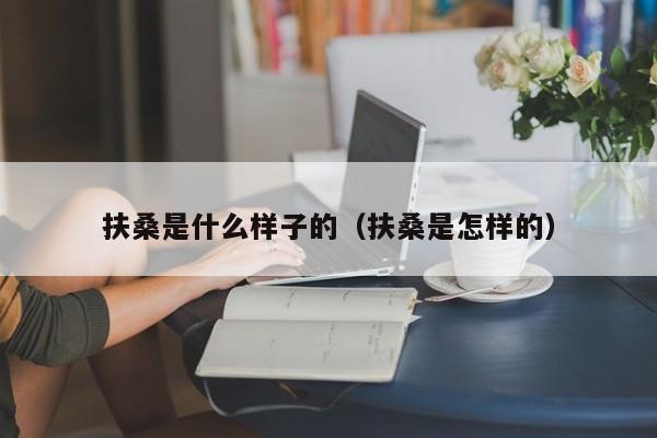 扶桑是什么样子的（扶桑是怎样的） 