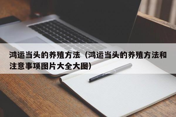 鸿运当头的养殖方法（鸿运当头的养殖方法和注意事项图片大全大图） 