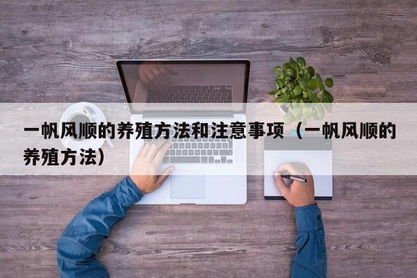 一帆风顺的养殖方法和注意事项（一帆风顺的养殖方法） 