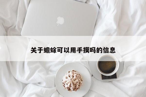 关于蟾蜍可以用手摸吗的信息 