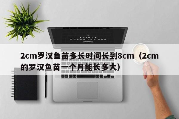 2cm罗汉鱼苗多长时间长到8cm（2cm的罗汉鱼苗一个月能长多大） 