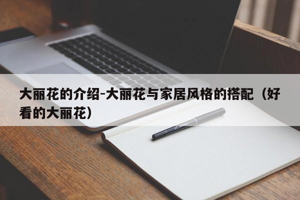 大丽花的介绍