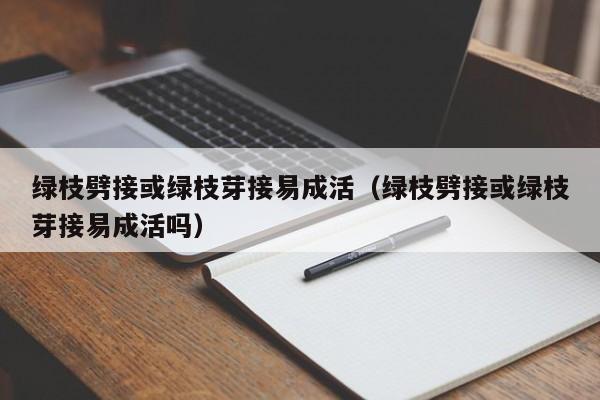 绿枝劈接或绿枝芽接易成活（绿枝劈接或绿枝芽接易成活吗） 