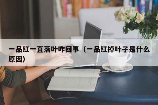 一品红一直落叶咋回事（一品红掉叶子是什么原因） 