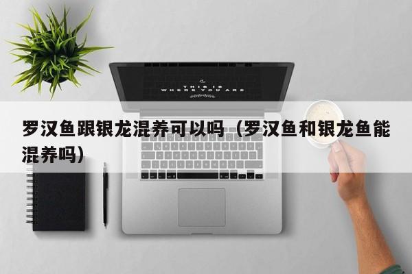 罗汉鱼跟银龙混养可以吗（罗汉鱼和银龙鱼能混养吗） 