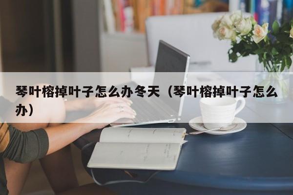 琴叶榕掉叶子怎么办冬天（琴叶榕掉叶子怎么办） 