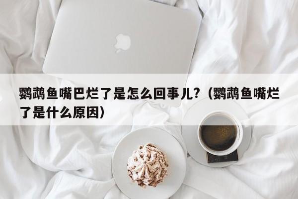 鹦鹉鱼嘴巴烂了是怎么回事儿?（鹦鹉鱼嘴烂了是什么原因） 