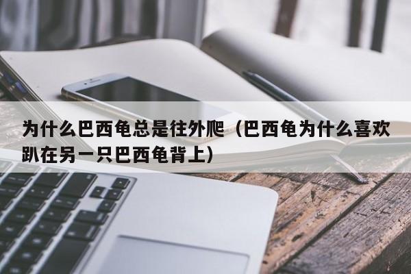 为什么巴西龟总是往外爬（巴西龟为什么喜欢趴在另一只巴西龟背上） 