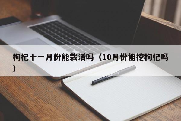 枸杞十一月份能栽活吗（10月份能挖枸杞吗） 