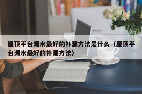 屋顶平台漏水最好的补漏方法是什么（屋顶平台漏水最好的补漏方法） 