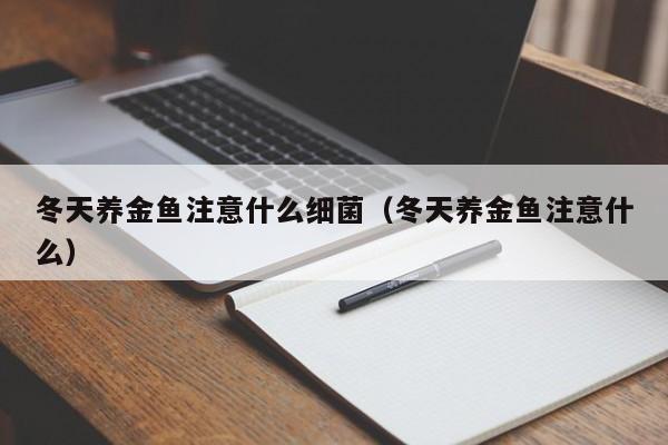 冬天养金鱼注意什么细菌（冬天养金鱼注意什么） 