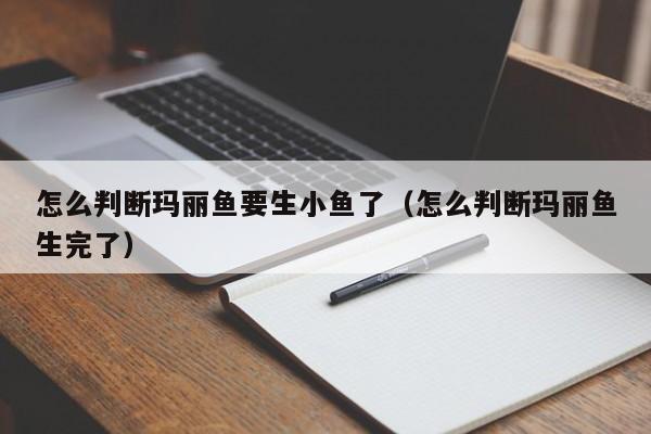 怎么判断玛丽鱼要生小鱼了（怎么判断玛丽鱼生完了） 