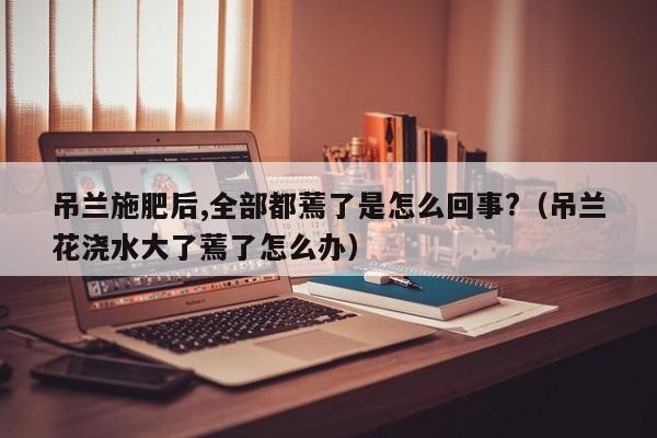 吊兰施肥后,全部都蔫了是怎么回事?（吊兰花浇水大了蔫了怎么办） 