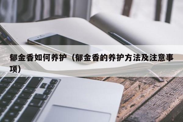 郁金香如何养护（郁金香的养护方法及注意事项） 